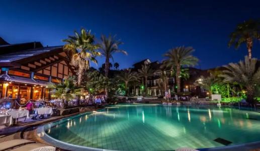 Orchid Eilat