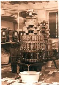 Meteora at Kastraki - 11