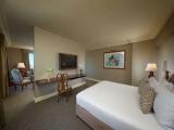 Double Junior Suite with river view