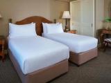 Superior room with river view
