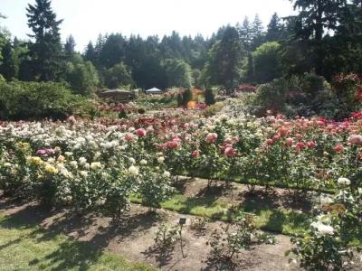 Hampton Inn Portland East - 18