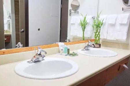 Radisson Portland Airport - 102