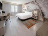 Standard Double room with balcony and with city view