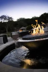 The Westin La Paloma Resort & Spa - 49