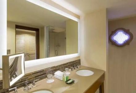 The Westin La Paloma Resort & Spa - 63