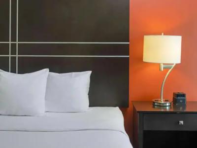 La Quinta by Wyndham Tucson - Reid Park - 6