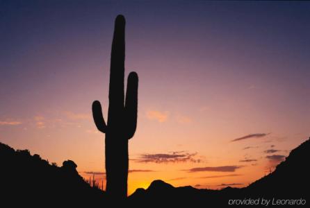 Omni Tucson National Resort - 20