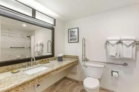 Best Western Plus Rio Grande Inn - 65