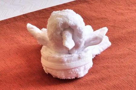 Best Western Plus Rio Grande Inn - 50