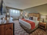 Standard Double room with pool view