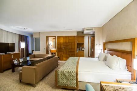 Dedeman Konya Convention Center - 11