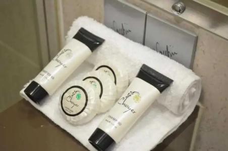 Rocklea International Motel - 33