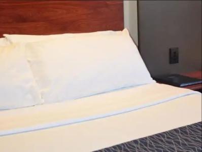 Rocklea International Motel - 35