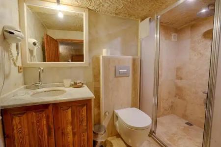 Tulip Cave Suites - 169