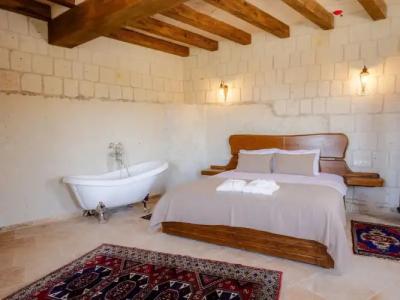 Tulip Cave Suites - 116