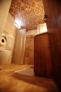 Tulip Cave Suites - 117