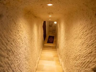 Tulip Cave Suites - 150