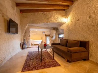 Tulip Cave Suites - 153