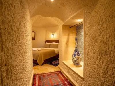 Tulip Cave Suites - 149