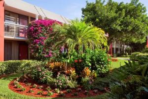 Collins Hotel Naples, Naples