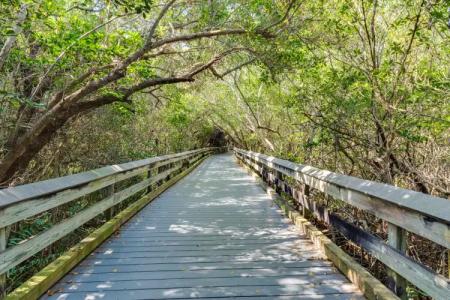 Naples Grande Beach Resort - 26