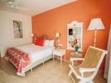 Premium Double room with Tropical view