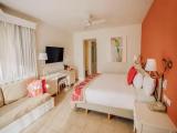 Premium Double room with balcony and with Tropical view