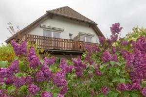 Strandhaus Malchow, Malchow
