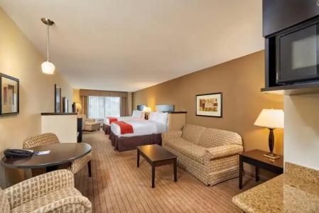 Holiday Inn Express & Suites El Paso Airport, an IHG - 111