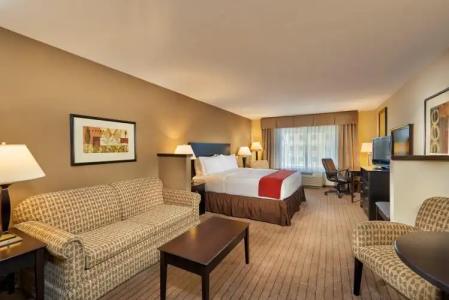 Holiday Inn Express & Suites El Paso Airport, an IHG - 3