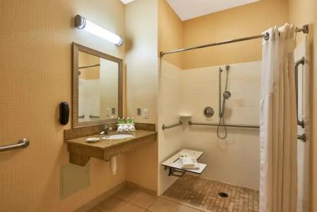 Holiday Inn Express & Suites El Paso Airport, an IHG - 8