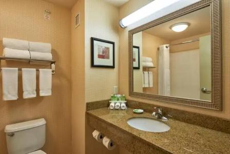 Holiday Inn Express & Suites El Paso Airport, an IHG - 108