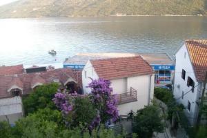 Apartments Citrus, Herceg Novi