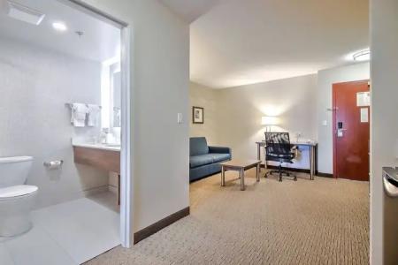 Comfort Inn & Suites South - 40