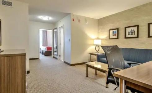 Comfort Inn & Suites South - 30