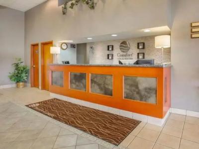 Comfort Inn & Suites South - 23