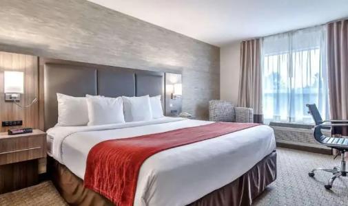 Comfort Inn & Suites South - 33