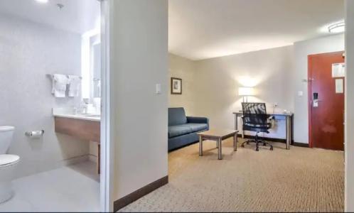 Comfort Inn & Suites South - 31