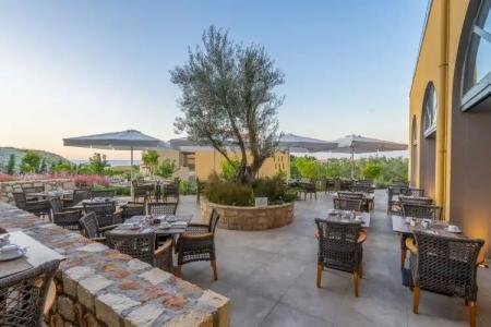 Apollonion Asterias Resort and Spa - 28