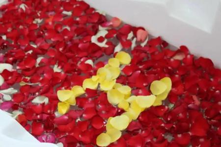 Harmony Phnom Penh - 14