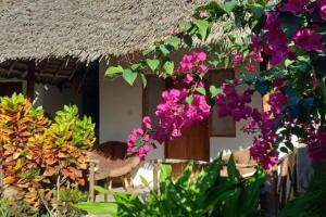 Keys Bungalows, Matemwe