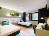 Standard Double room with park view