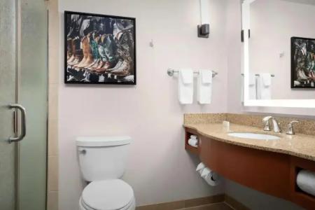 Hilton Garden Inn Fort Worth Medical Center - 9