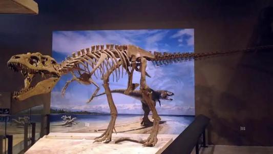 Holiday Inn Express Airport East, an IHG - 11