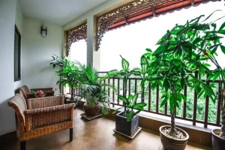 Almond Sothearos - 71