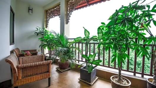 Almond Sothearos - 83