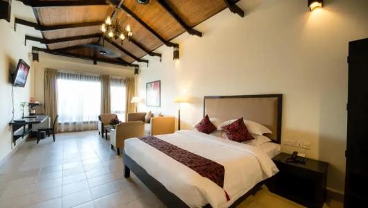 Almond Sothearos - 6