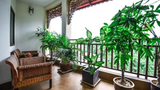 Almond Sothearos - 19