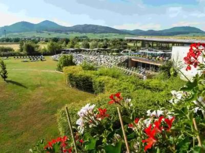 Hôtel Barrière Ribeauvillé - 38