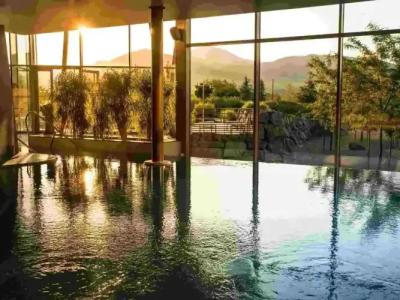 Hôtel Barrière Ribeauvillé - 44